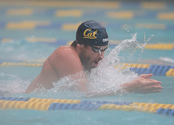 Cal Men's Swimming vs Stanford