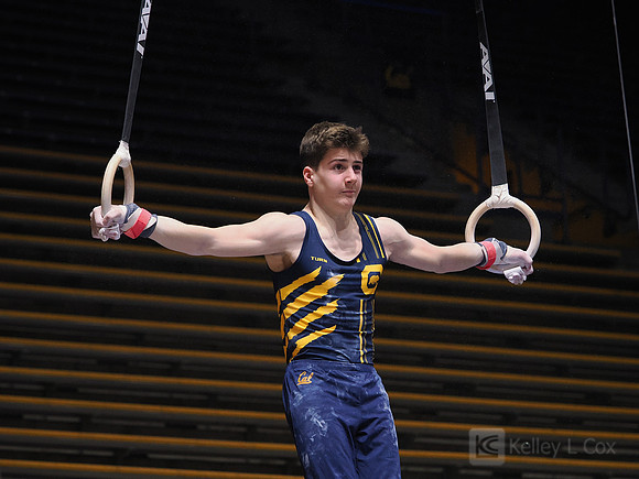 Men’s Gymnastics: California Golden Bears vs Stanford Cardinal