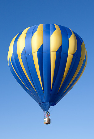 Albuquerque International Balloon Fiesta 2010