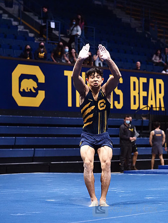 Noah Newfeld