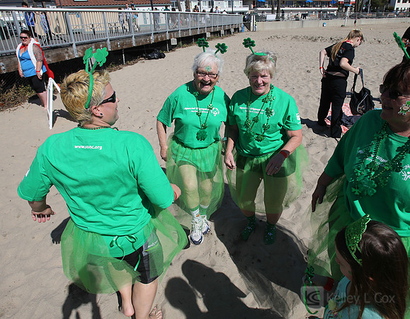 Santa Cruz Polar Plunge