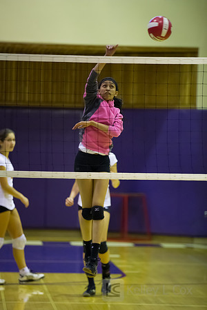 JV Volleyball: Berkeley at Piedmont