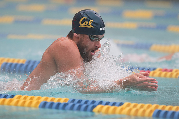 Cal Men's Swimming vs Stanford