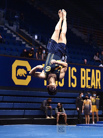 Noah Newfeld