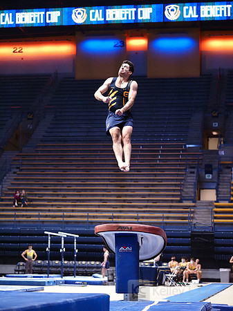 David Rauchwerger