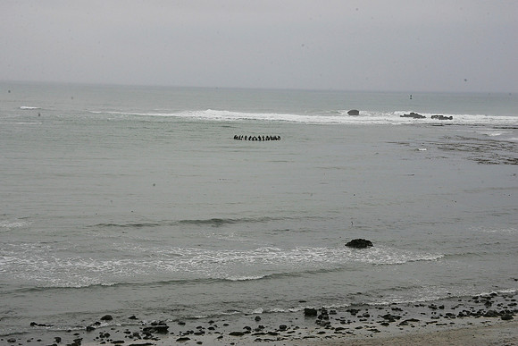 Mavericks Opening Day