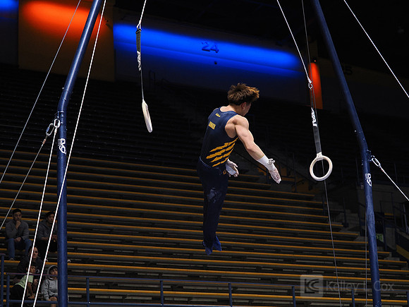 Men’s Gymnastics: California Golden Bears vs Stanford Cardinal