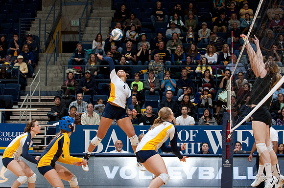 Cal Volleyball vs ASU