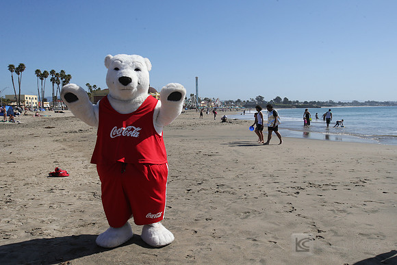 Santa Cruz Polar Plunge