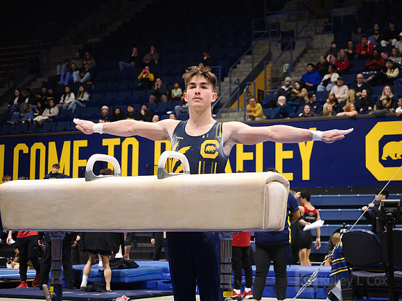 Men’s Gymnastics: California Golden Bears vs Stanford Cardinal