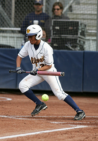 Cal Softball vs Santa Clara