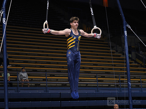 Men’s Gymnastics: California Golden Bears vs Stanford Cardinal