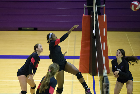 Volleyball: Berkeley at Piedmont