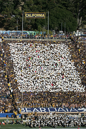 Cal Football vs Stanford