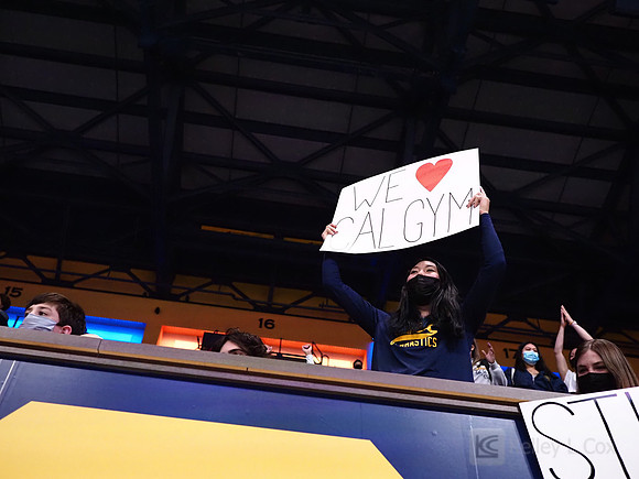 Fans