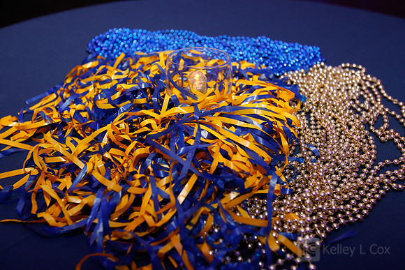Blue and Gold Bash