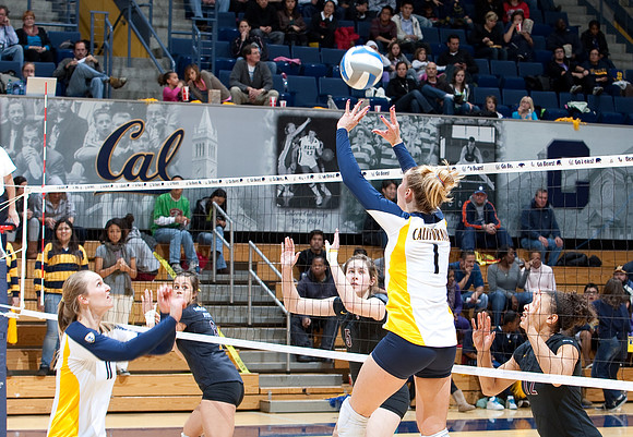 Cal Volleyball vs ASU