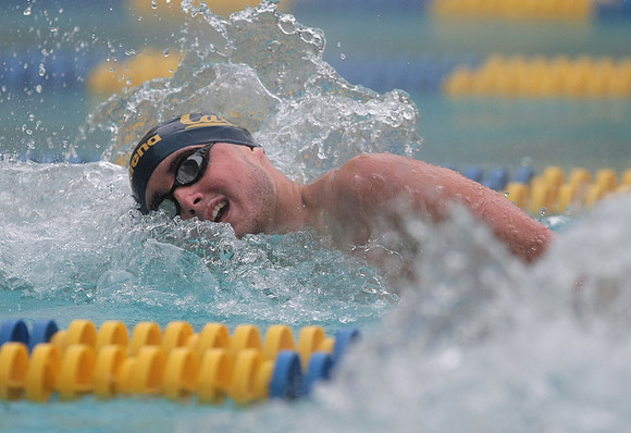 Cal Men's Swimming vs Stanford
