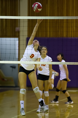 JV Volleyball: Berkeley at Piedmont
