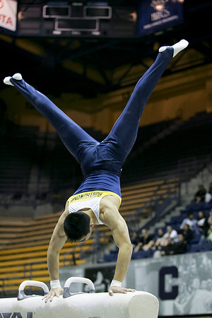 Cal Men's Gymnastics vs Stanford