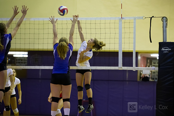 JV Volleyball: Berkeley at Piedmont