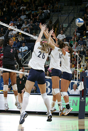 Cal Women's Volleyball vs Stanford