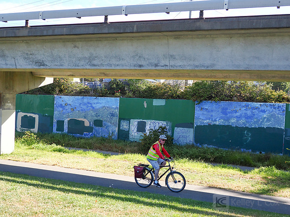 City of El Cerrito: Bike to Wherever Days