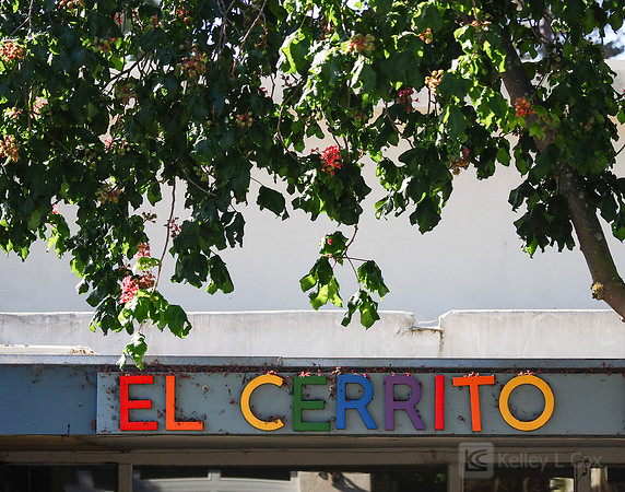 City of El Cerrito: Bike to Wherever Days
