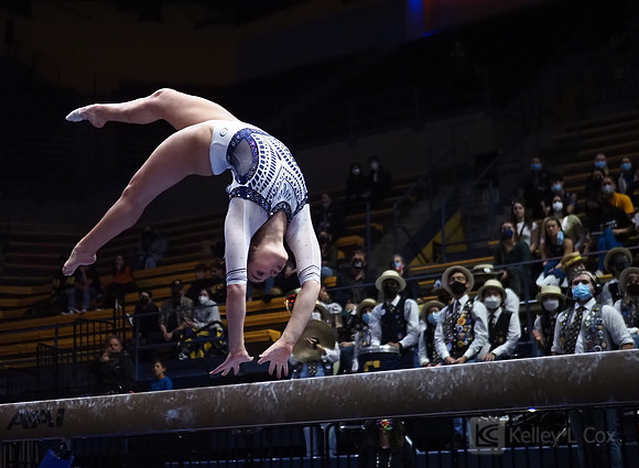 Women’s Gymnastics: California Golden Bears vs Iowa Hawkeyes