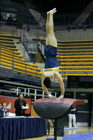 Cal Men's Gymnastics vs Stanford
