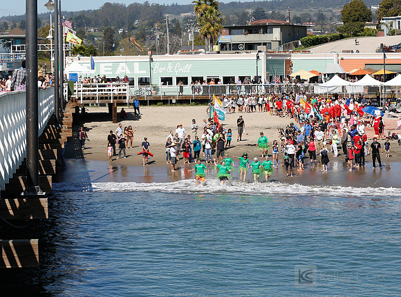 Santa Cruz Polar Plunge