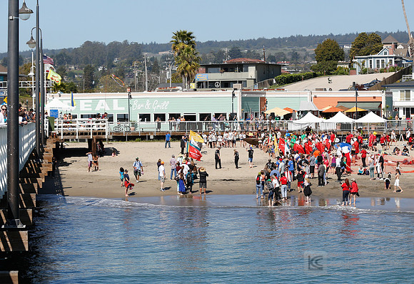 Santa Cruz Polar Plunge