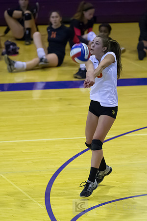 JV Volleyball: Berkeley at Piedmont