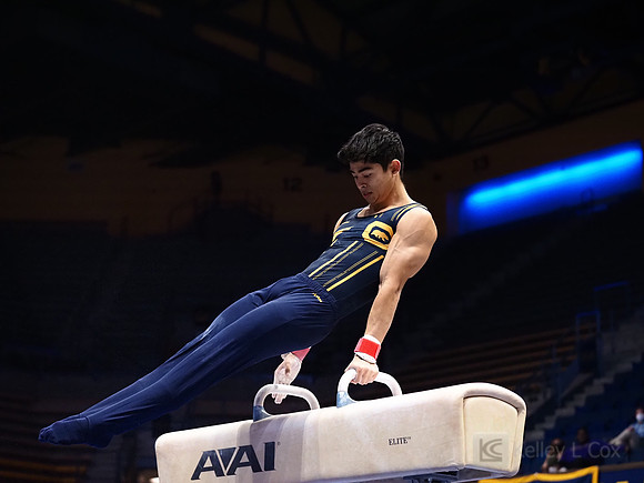 Noah Newfeld