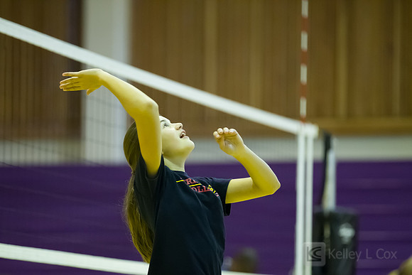 JV Volleyball: Berkeley at Piedmont