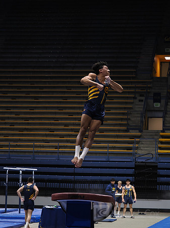 Men’s Gymnastics: California Golden Bears vs Stanford Cardinal
