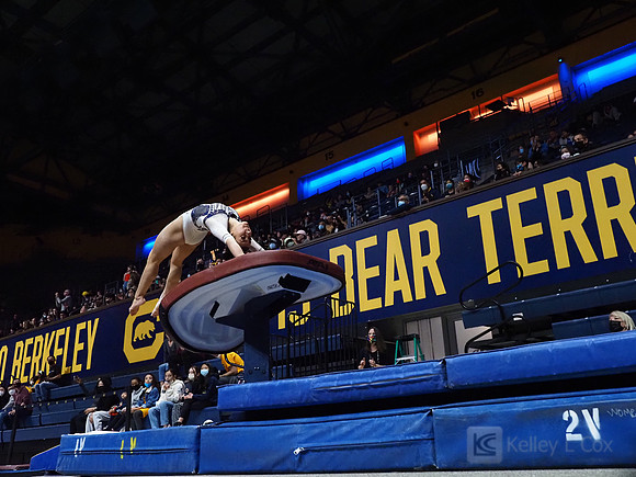 Women’s Gymnastics: California Golden Bears vs Iowa Hawkeyes