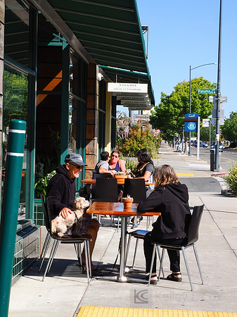 City of El Cerrito: Bike to Wherever Days