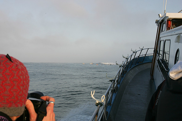Mavericks 2010