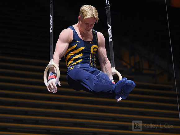 Men’s Gymnastics: California Golden Bears vs Stanford Cardinal
