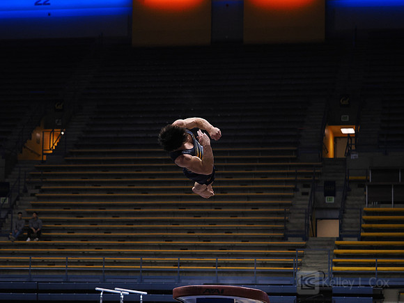 Men’s Gymnastics: California Golden Bears vs Stanford Cardinal