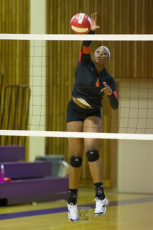 Volleyball: Berkeley at Piedmont