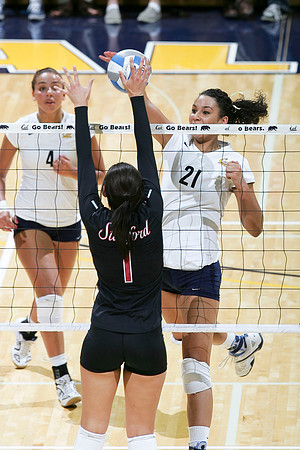 Cal Women's Volleyball vs Stanford