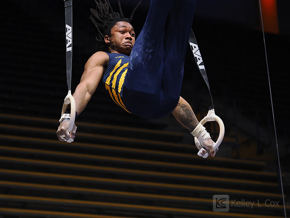 Men’s Gymnastics: California Golden Bears vs Stanford Cardinal