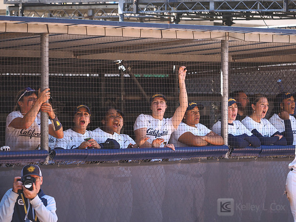 Softball: California Golden Bears vs Oregon State Beavers