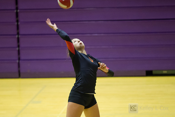 Volleyball: Berkeley at Piedmont