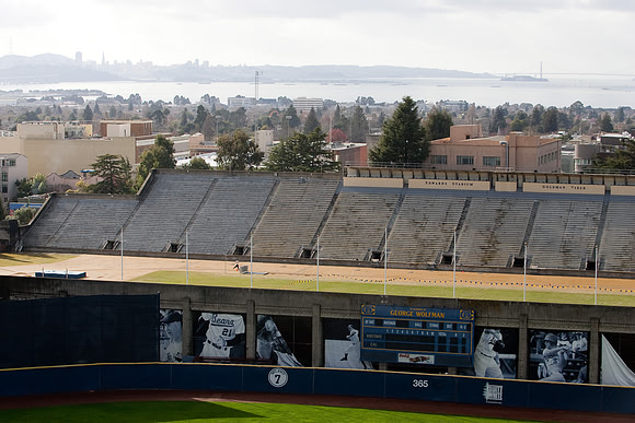 View from Haas