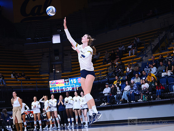 Volleyball: California Golden Bears vs Notre Dame Fighting Irish