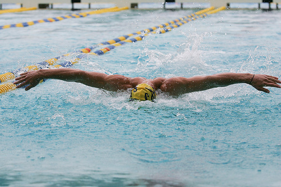 Cal Men's Swimming and Diving vs Stanford