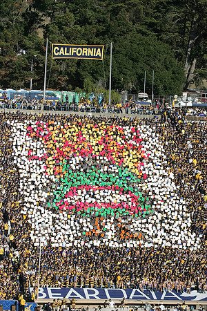 Cal Football vs Stanford